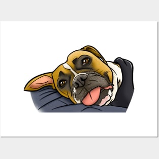 Adorable Boxer with Tongue Posters and Art